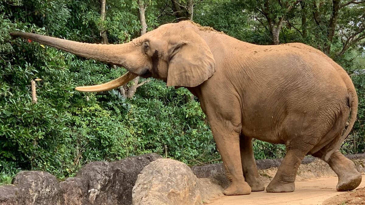 Sendai Yagiyama Zoo
