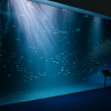 Shikoku Aquarium
