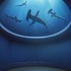 Shikoku Aquarium