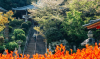 Shikoku Pilgrimage