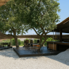 Shima Kitchen
