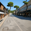 Shinmon-dori