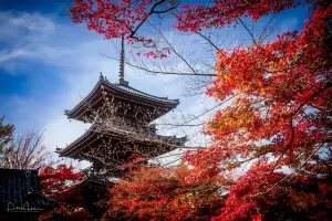 Shinnyodo Temple