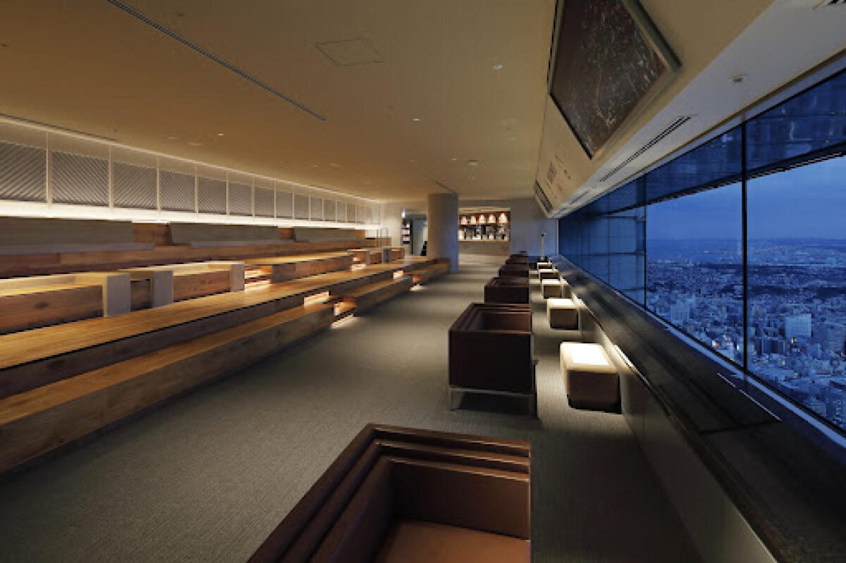 Sky Garden Observatory