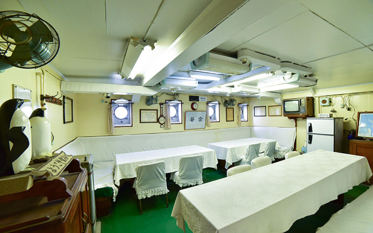 Soya Icebreaker