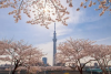 Sumida Park