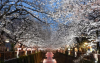 Sumida Park