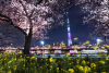 Sumida Park