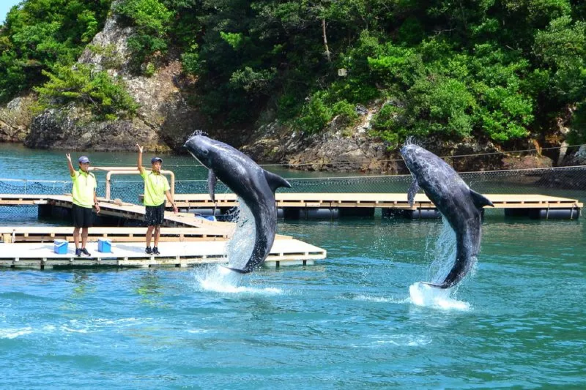 Taiji Whale Museum