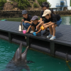 Taiji Whale Museum