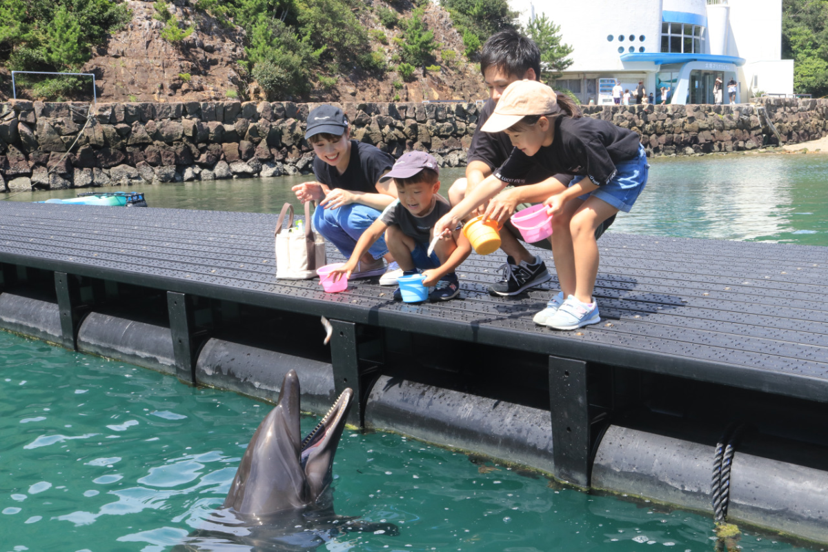 Taiji Whale Museum