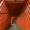 Taikodani Inari Shrine