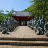 Taiyo Park