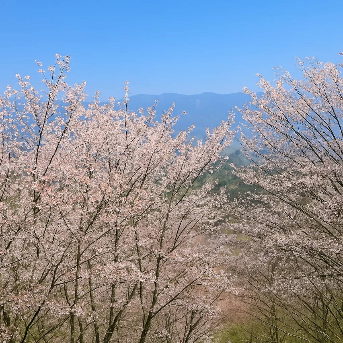 Takagiyama Observation Deck