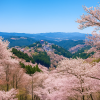Takagiyama Observation Deck