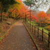 Takaoka Castle Park