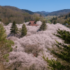 Takaoka Castle Park