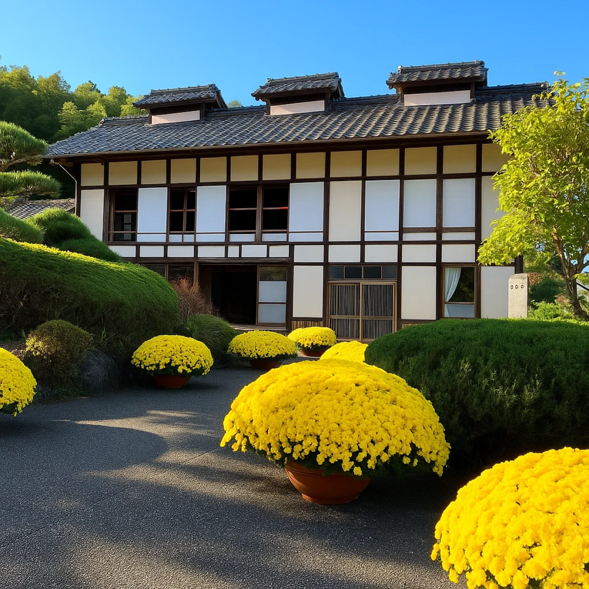 Takayama-sha Sericulture School