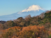 Tenen Hiking Course