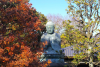 Tennoji Temple
