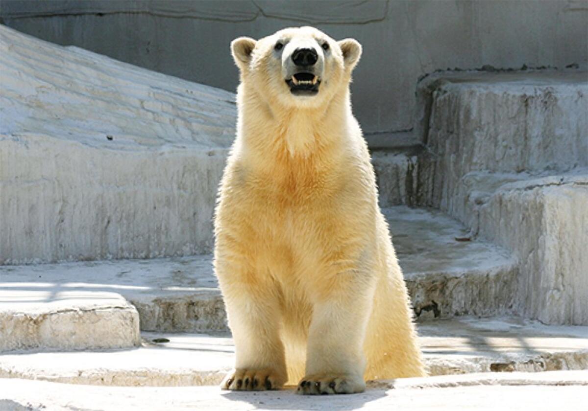 Tennoji Zoo