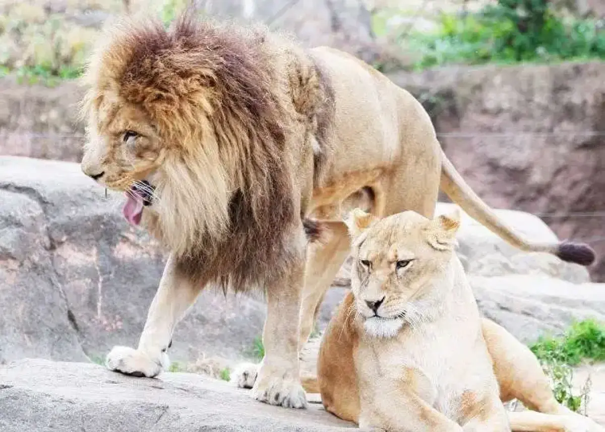 Tennoji Zoo