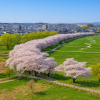 Tenshochi Park