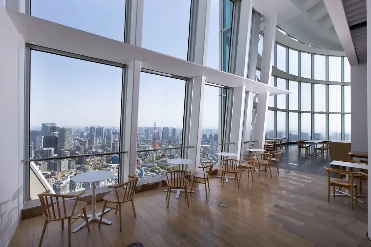 Tokyo City View