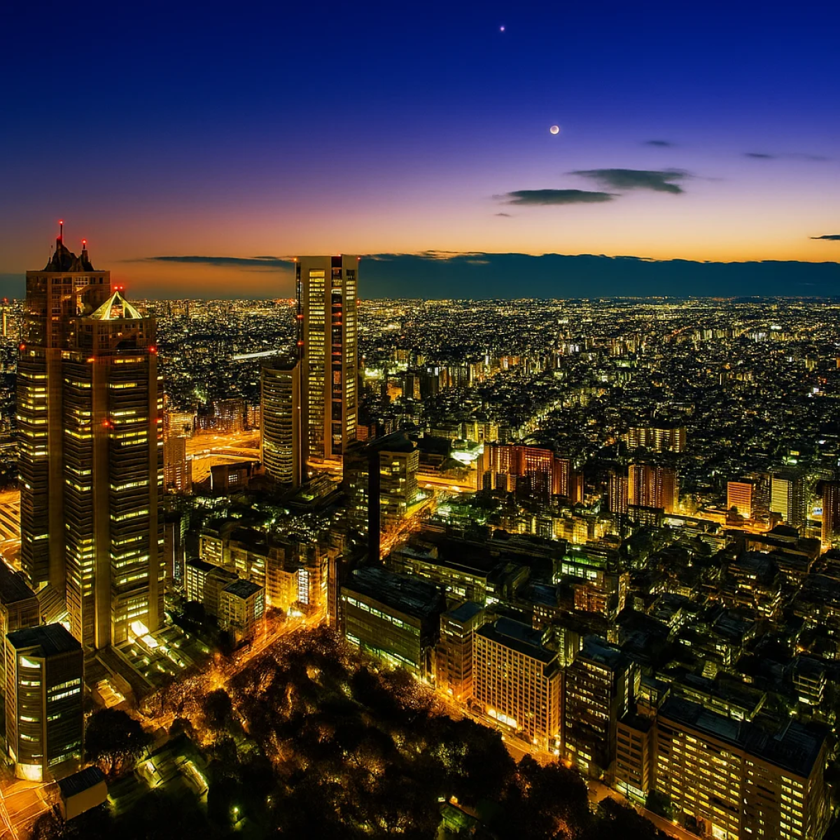 Tokyo Metropolitan Government Office