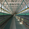 Tomioka Silk Mill