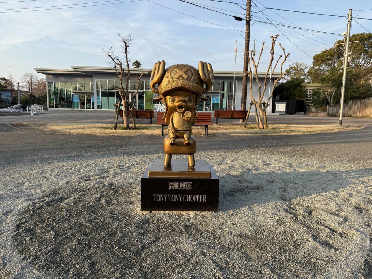 Tony Tony Chopper