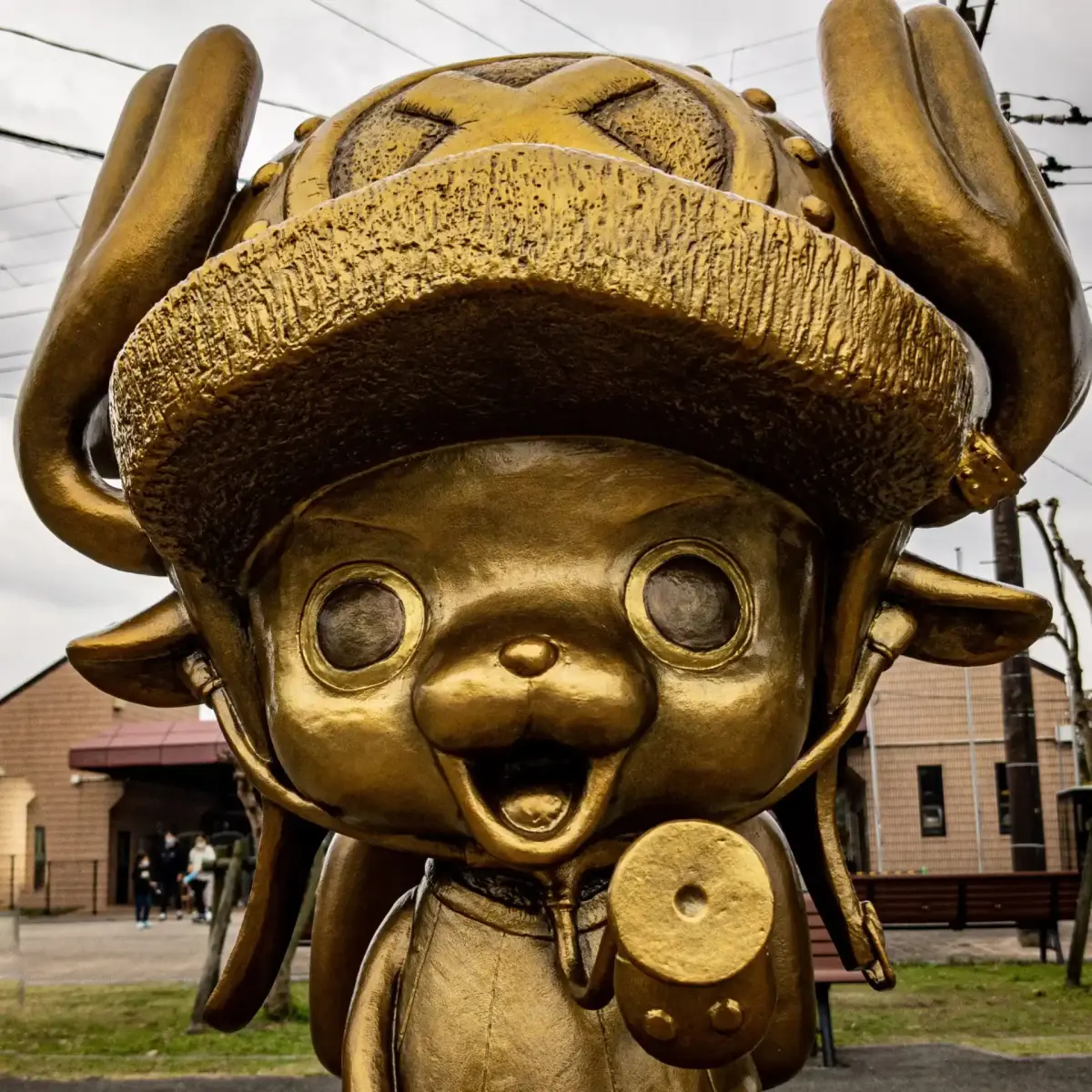Tony Tony Chopper