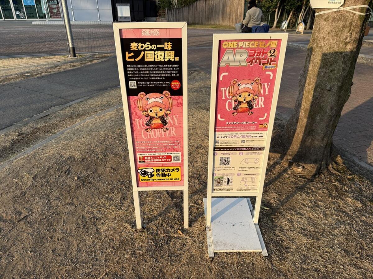 Tony Tony Chopper