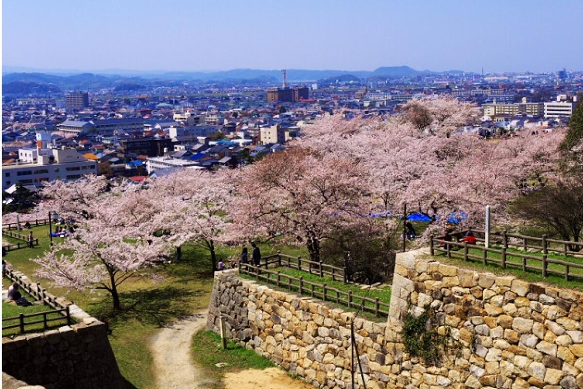 Tottori Castle Ruins