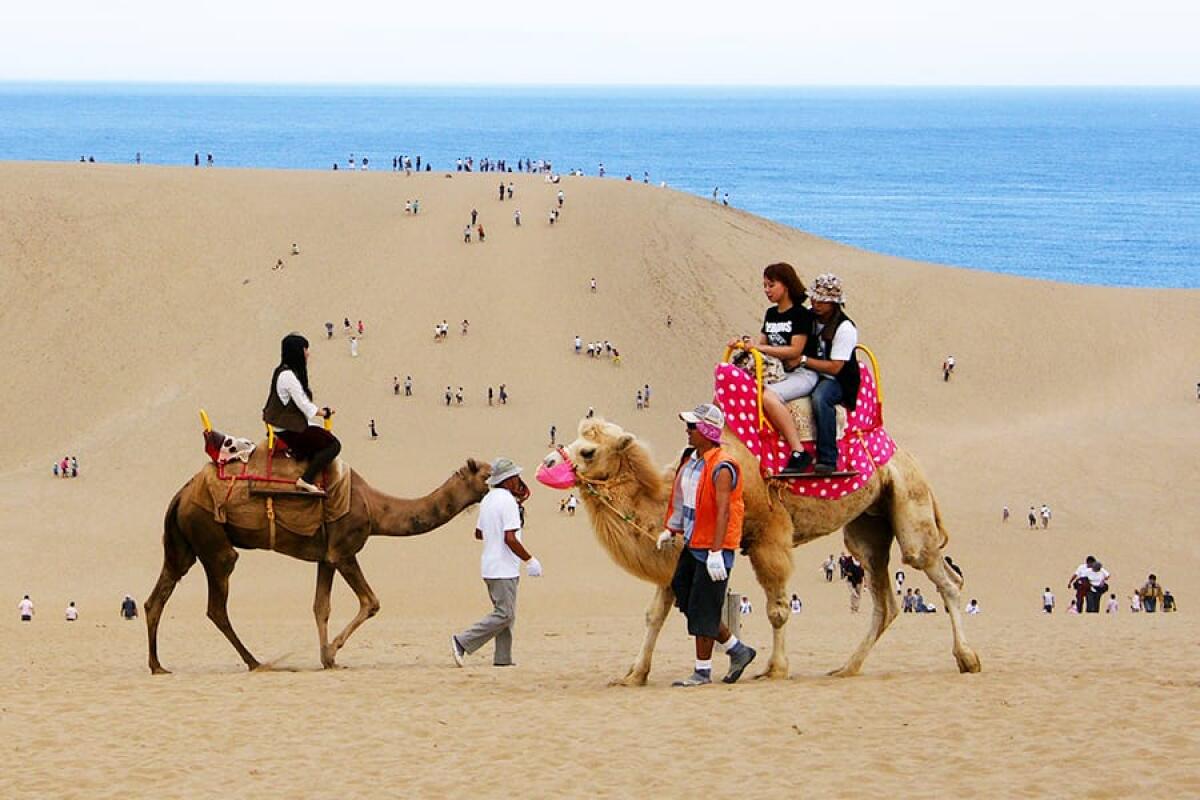 Tottori Sand Dunes (Tottori Sakyu)