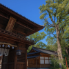 Tsubaki Shrine