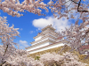 Tsuruga Castle