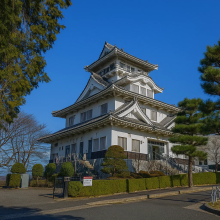 6. Ueno Castle