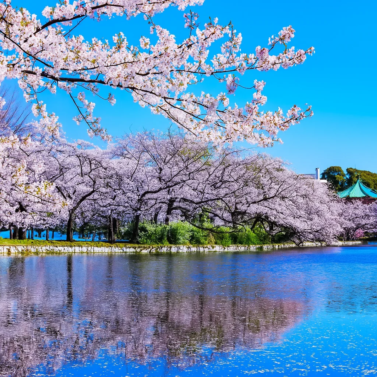 Ueno Park