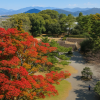 Ueno Park