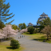 Ueno Park