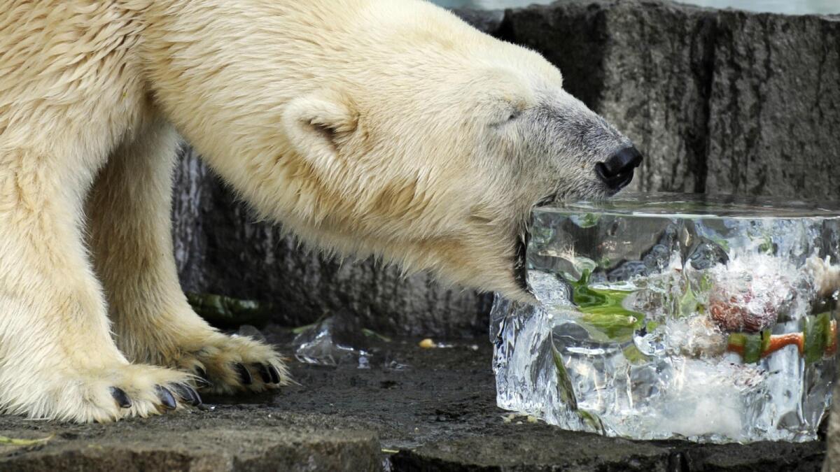Ueno Zoo