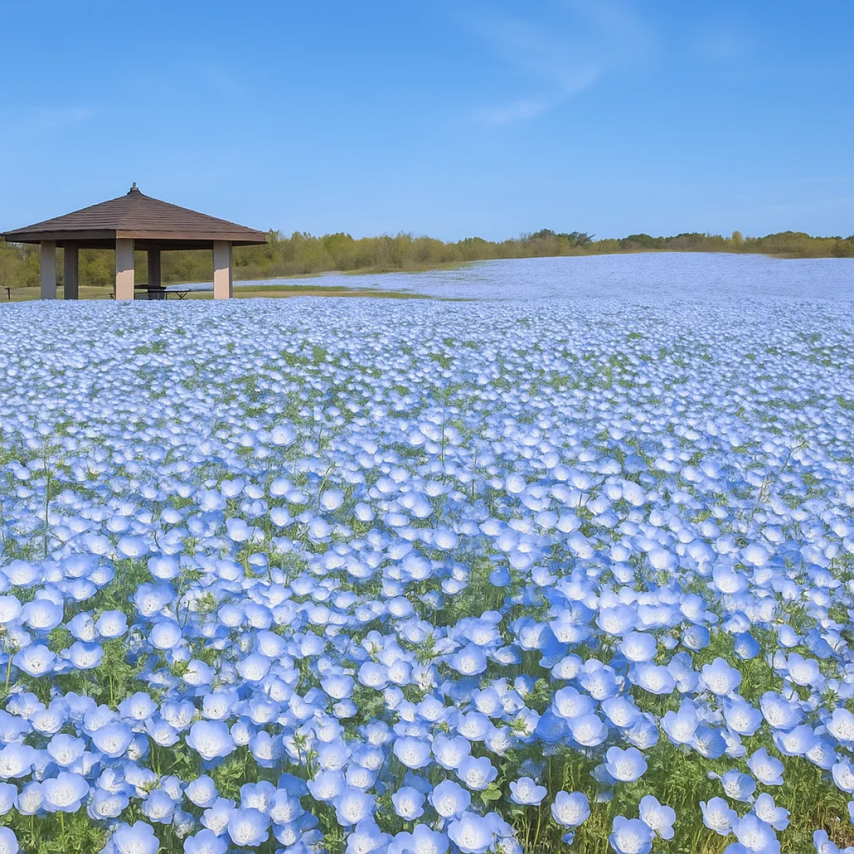 Uminonakamichi Seaside Park