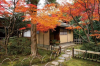 Urakuen Garden
