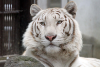 Utsunomiya Zoo