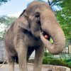 Utsunomiya Zoo