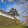 Wakayama Castle