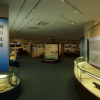Whale Museum