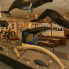 Whale Museum