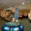 Whale Museum